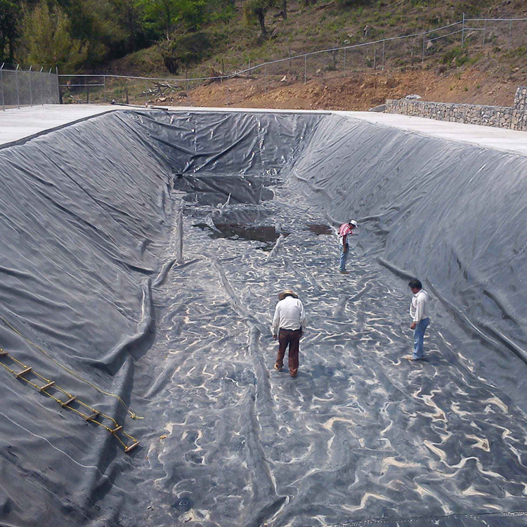 DKM Geomembrane for Pond Seepage Control Projects (4)