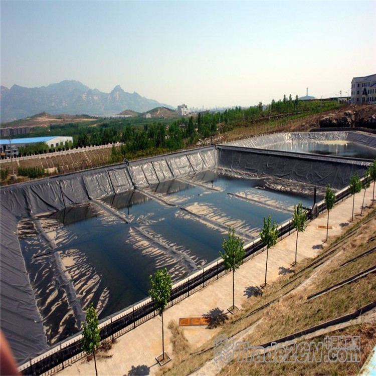 Geomembrane (47)