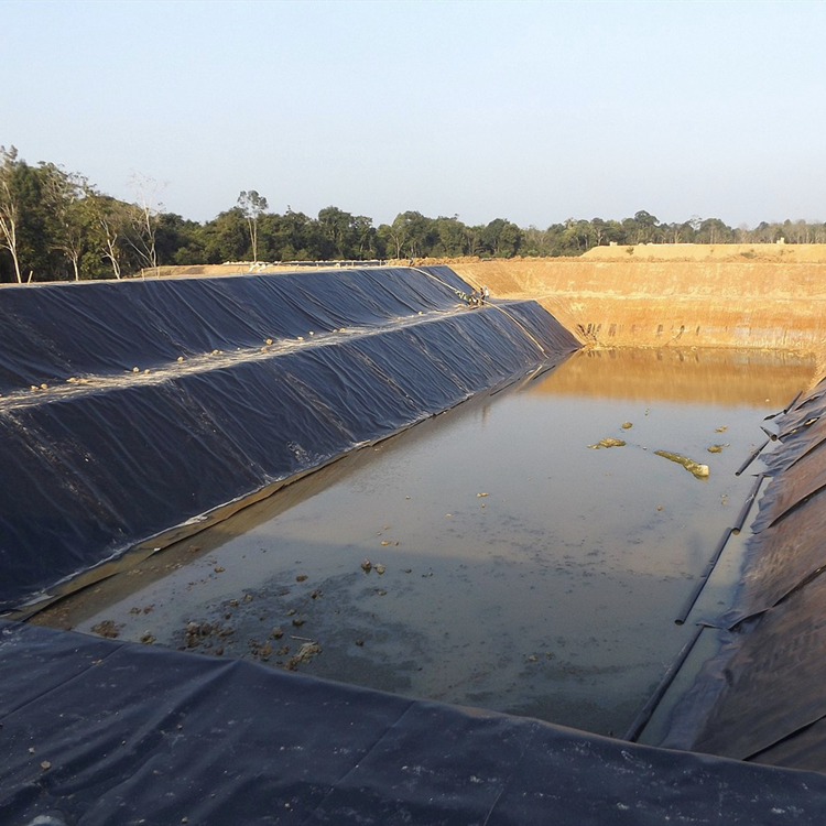 DKM Geomembrane for Pond Seepage Control Projects (2)