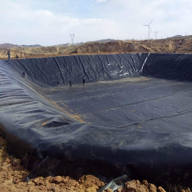 DKM Geomembrane for Pond Seepage Control Projects (6)
