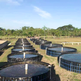 HDPE Geomembrane Pond Liner Sheet