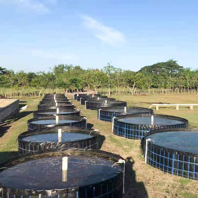 HDPE Geomembrane Pond Liner Sheet