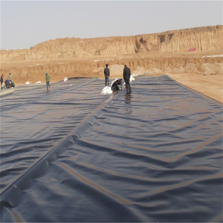 Geomembrane (39)