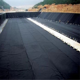 LDPE Geomembrane