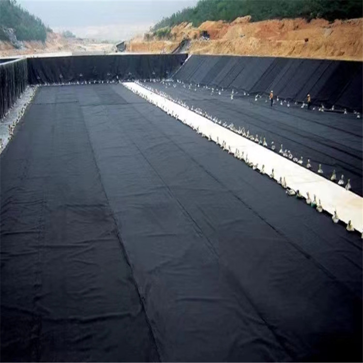 LDPE Geomembrane