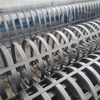 HDPE Geogrid