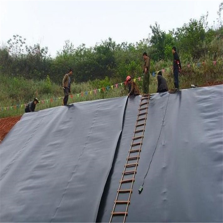 Geomembrane (38)