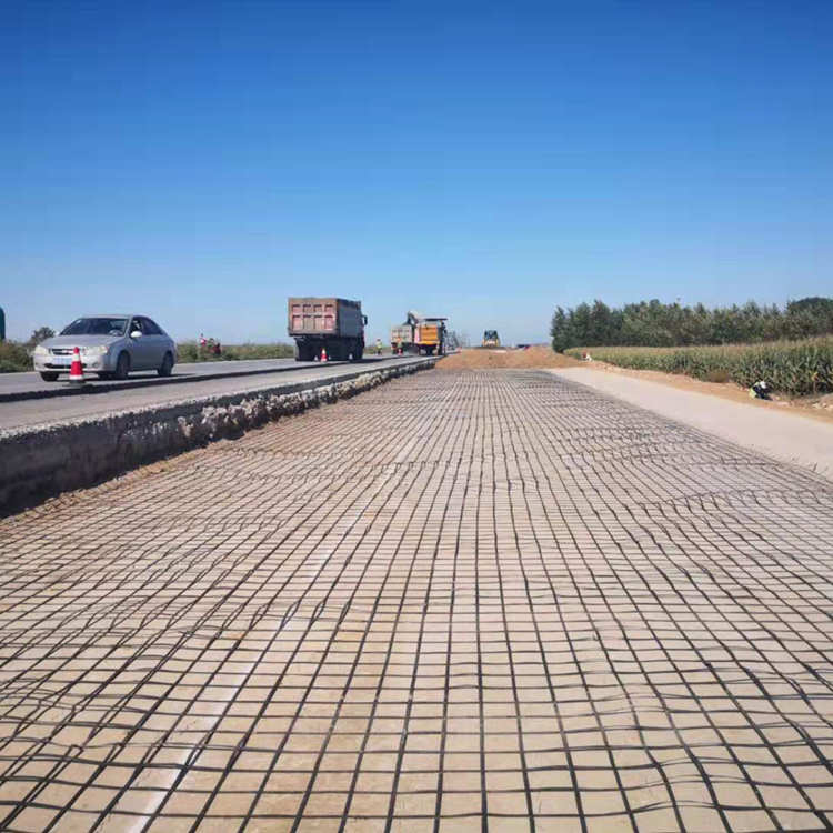 Steel-Plastic Geogrid